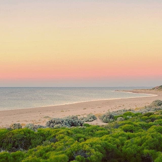 Pink and gold sunset over a calm sea and a long curving sand beach, with dense green coastal scrub in the foreground